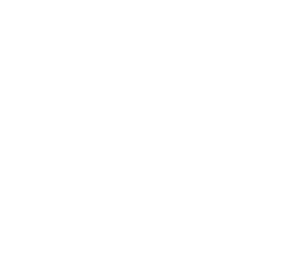 Logo Stefan Henrich